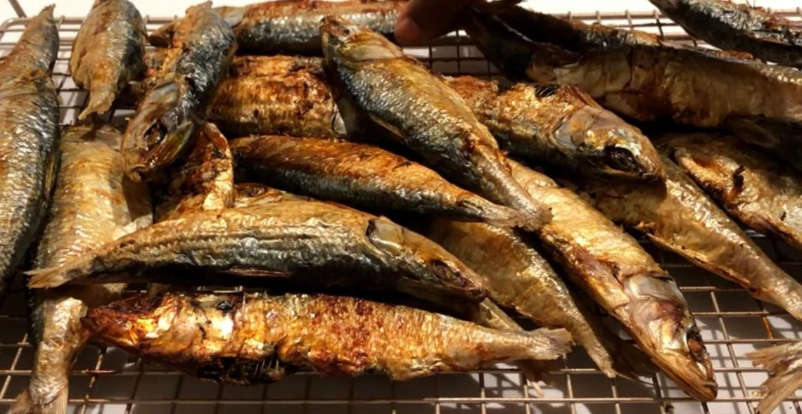 20 Pieces of Smocked Dried Herring Fish | Bonga Fish