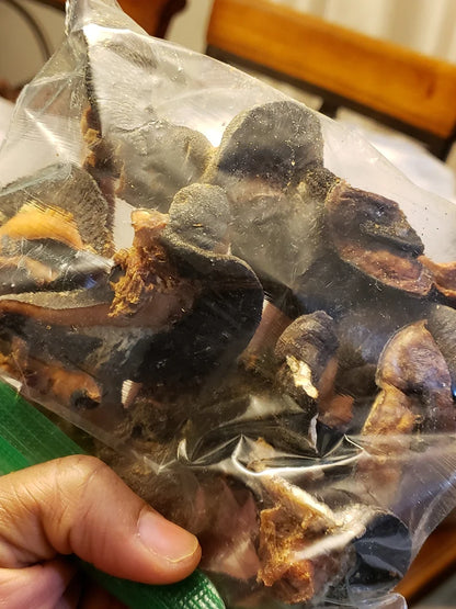 Oven Dried Extra Jumbo Snails, 6 pieces per pack