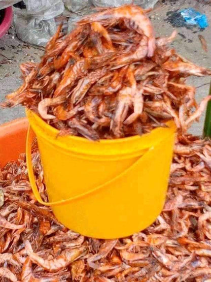 Whole Crayfish; One full custard bucket